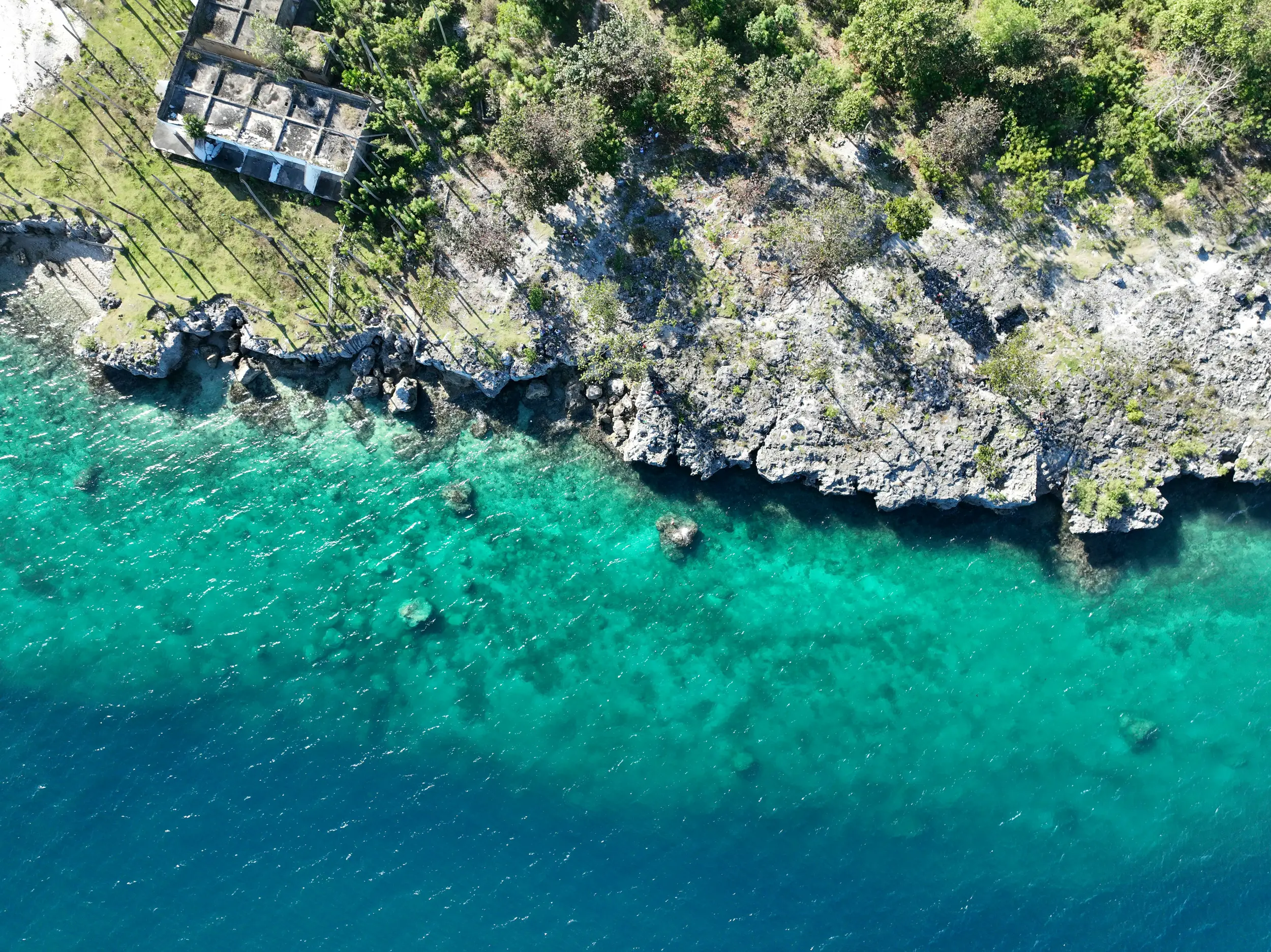 A breathtaking view of a pristine beach in Cebu.