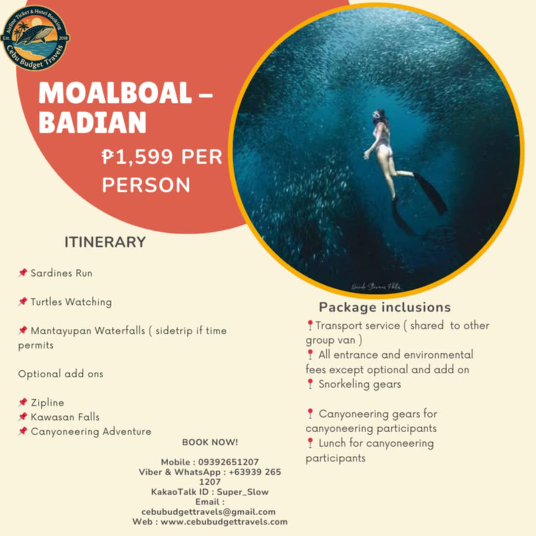 Adventurers enjoying the stunning Kawasan Falls in Moalboal, Cebu.