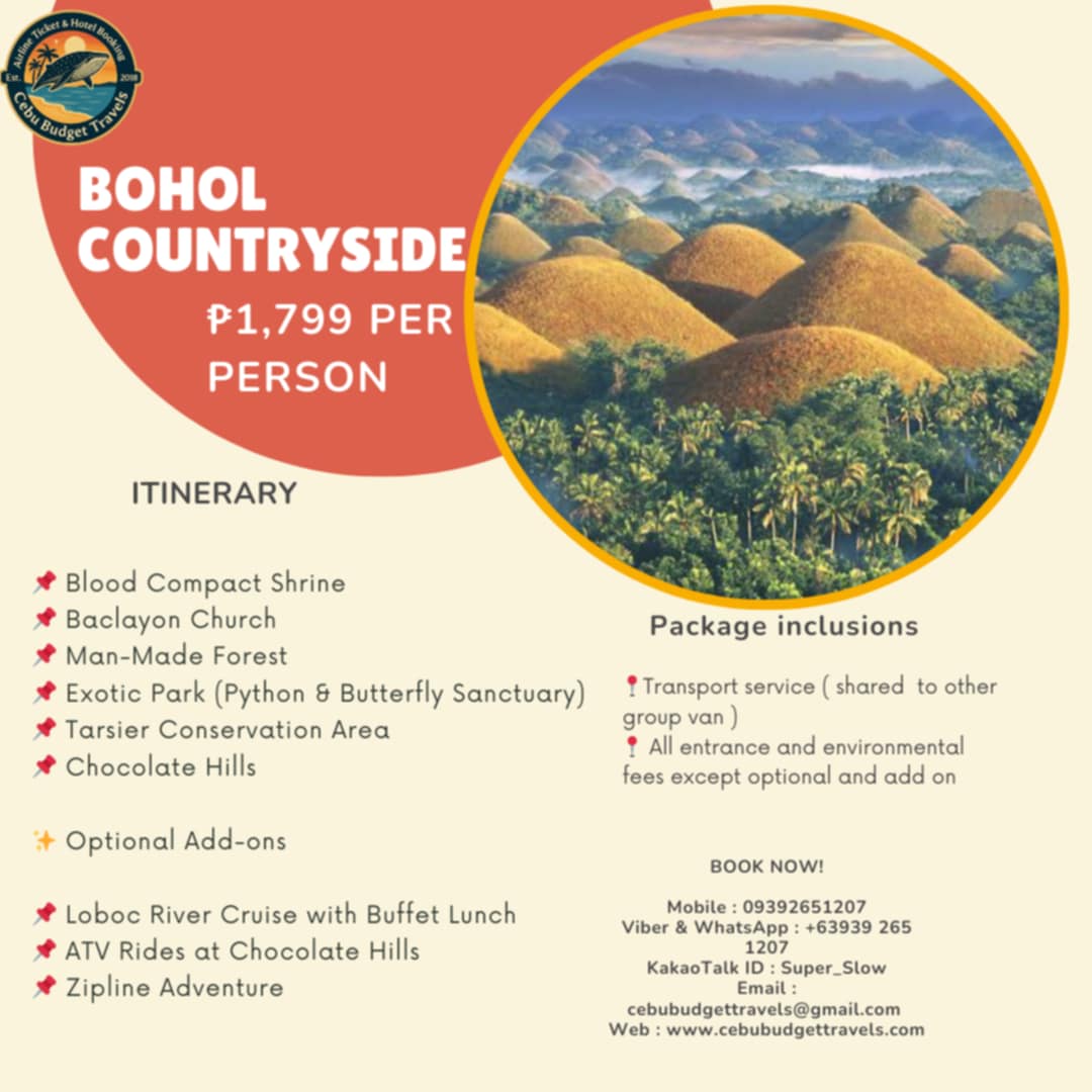 Adventurers enjoying the stunning Kawasan Falls in Moalboal, Cebu.